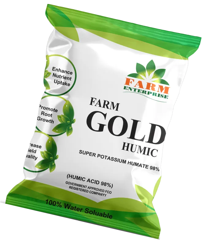 0Gold Cross 675x781 Webp