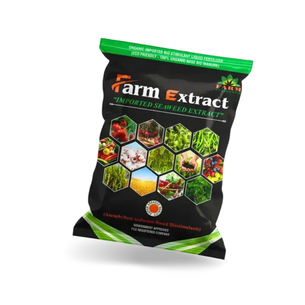 Slider2 750x750 Webp